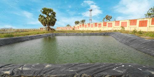Pond Liner